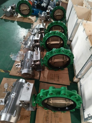 Deniz Suyu Sondaj Rig için Deniz Havayla Çalışan Kelebek Vana 316SS